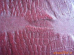 上海新徽皮革制品 人造革产品介绍与销售指南